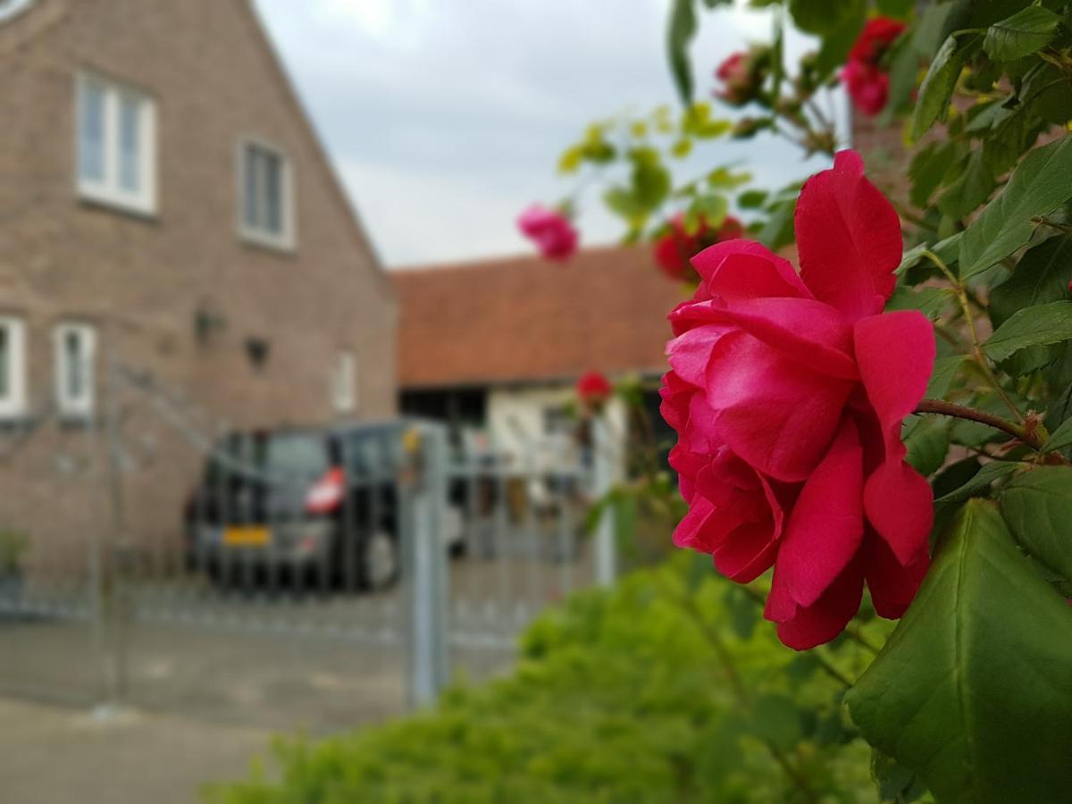De Boerebeemd Bed & Breakfast Lieshout Eksteriør bilde