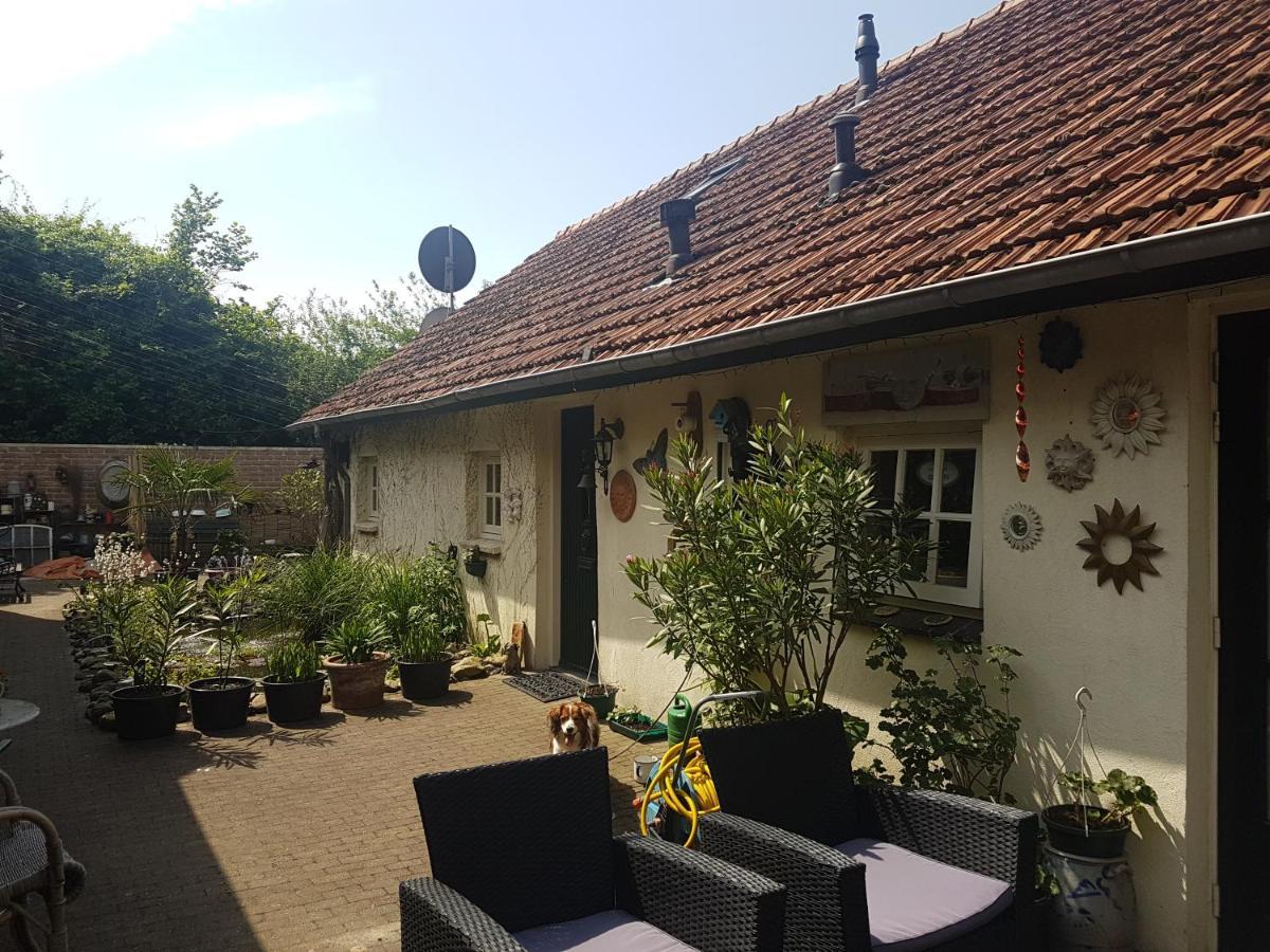 De Boerebeemd Bed & Breakfast Lieshout Eksteriør bilde